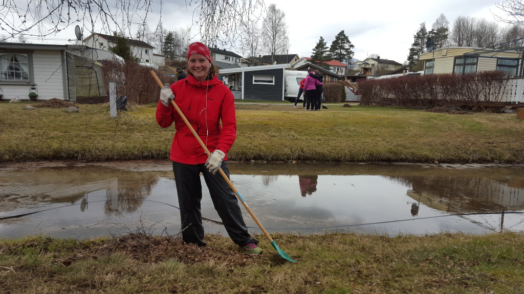 Raking