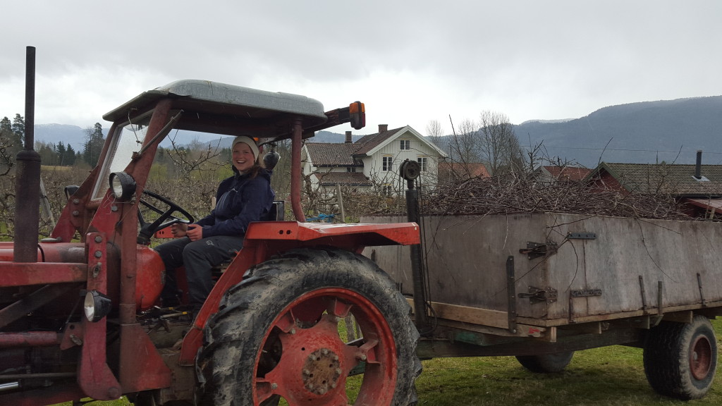 Traktor