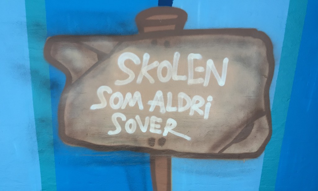 Ringerike folkehøgskoles slagord er "Skolen som aldri sover". Skolen sover heller ikke når de har fokus på elevenes psykiske helse
