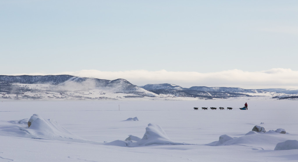 Foto: THERESE ANDERSEN