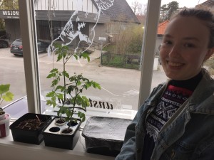 Guro Hollund har tatt over kantinen med plantene sine