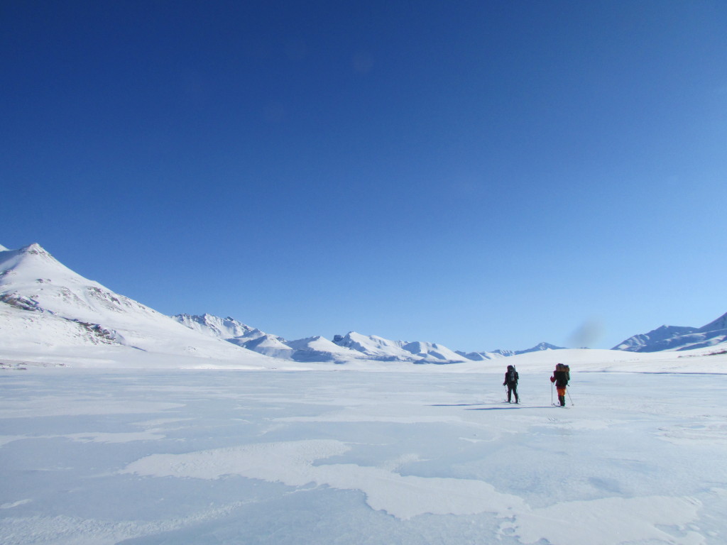 Naturen i både Alaska og Finnmark byr på spesielle villmarksopplevelser.