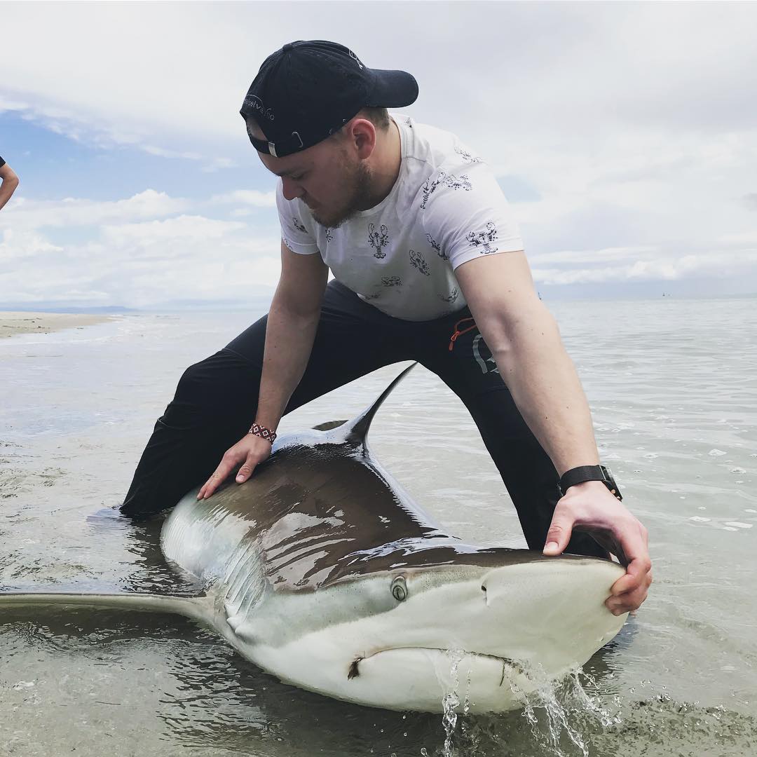 Hai, mann, New Zealand, sportfisker, folkehøgskolene