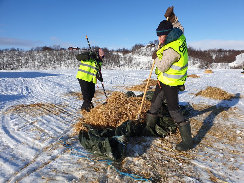Elever raker opp halm, rydder