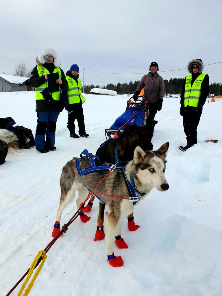 Hundespann klar til start. Elever noterer tid og ønsker lykke til videre