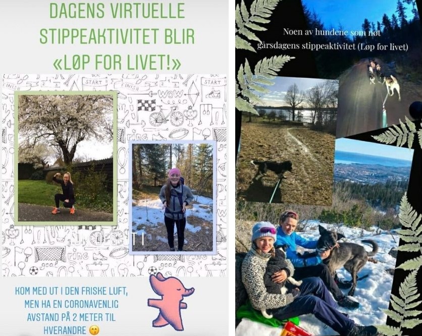 skjermbilde instagram story oppgaver fra stipendiatene turbilder