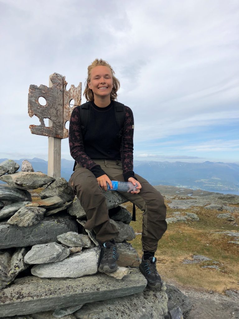 Vida Lill på fjelltopp, på varde