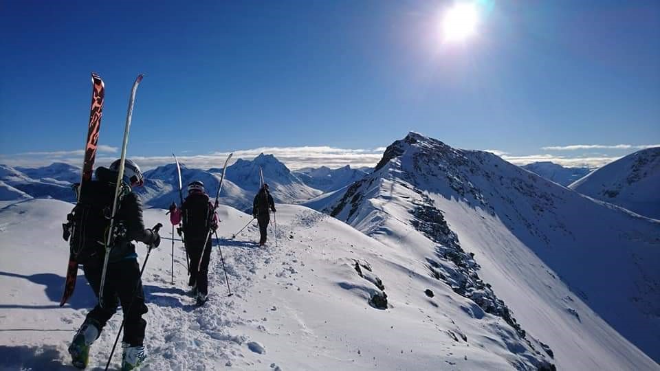 topptur, ski, skyfri himmel